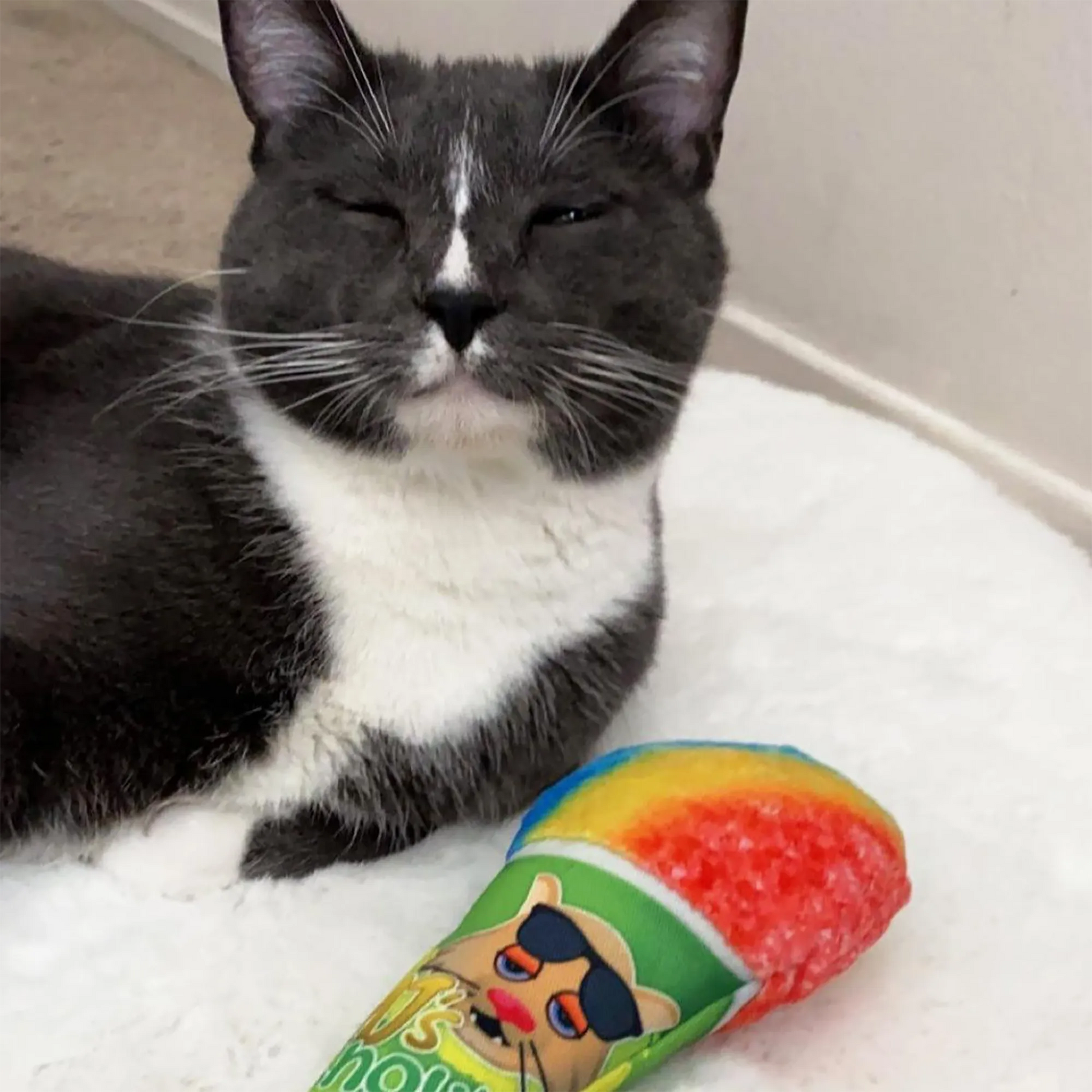 A gray-and-white cat relaxing with the snow cone toy, eyes partially closed in a content expression.