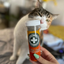Cat sniffing a bottle of Meowijuana Kalico Kush held by a person with painted nails.