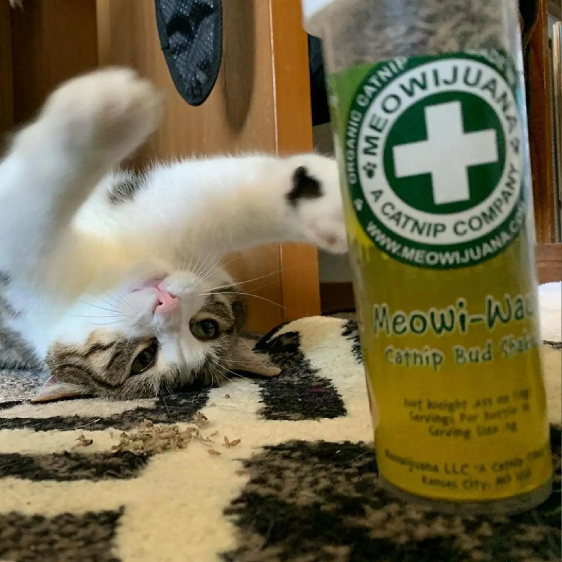 White and tabby cat lying on a rug, reaching playfully towards a Meowi-Waui catnip container in front.