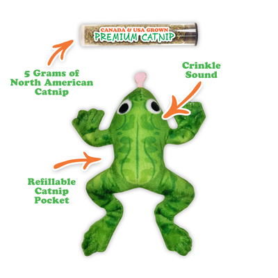 Get Sprung Refillable Frog