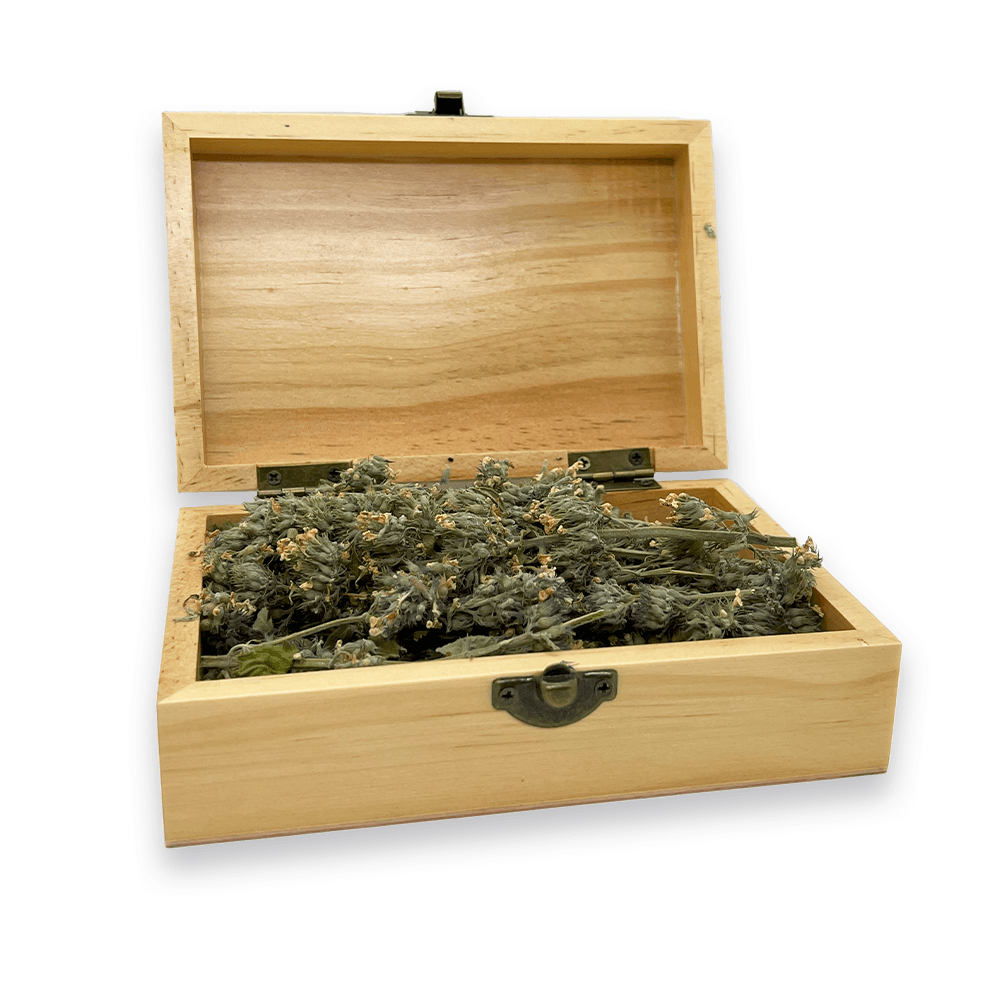 Cigar Box - Grand Daddy Purr Catnip Buds - Meowijuana - A Catnip Company