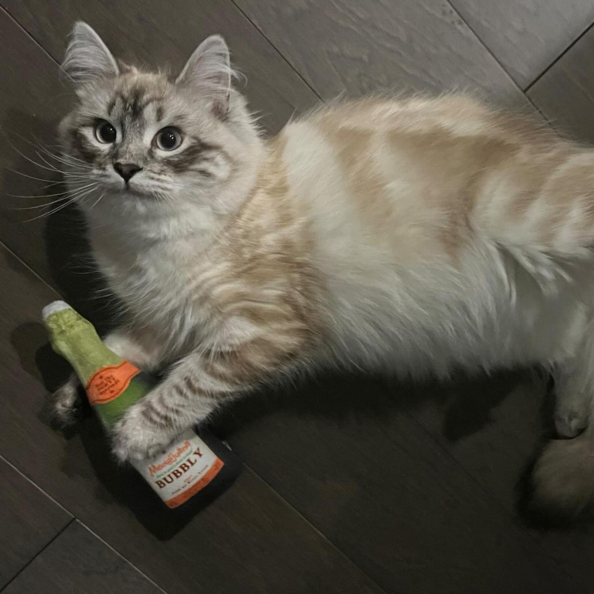 Get Toasted Refillable Champagne Bottle - Meowijuana - A Catnip Company