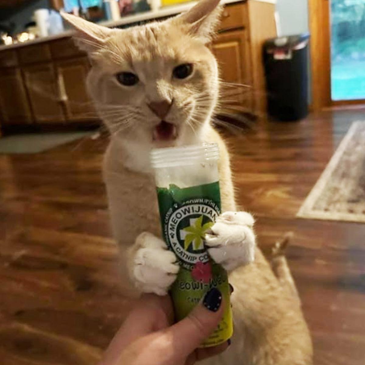 Meowi-Waui - Ground Catnip & Catnip Buds