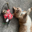 Jump 'n' Jamb - Get Wild Sloth - Refillable Catnip Swinging Toy - Meowijuana - A Catnip Company