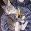 Get Toasted Refillable Champagne Bottle - Meowijuana - A Catnip Company