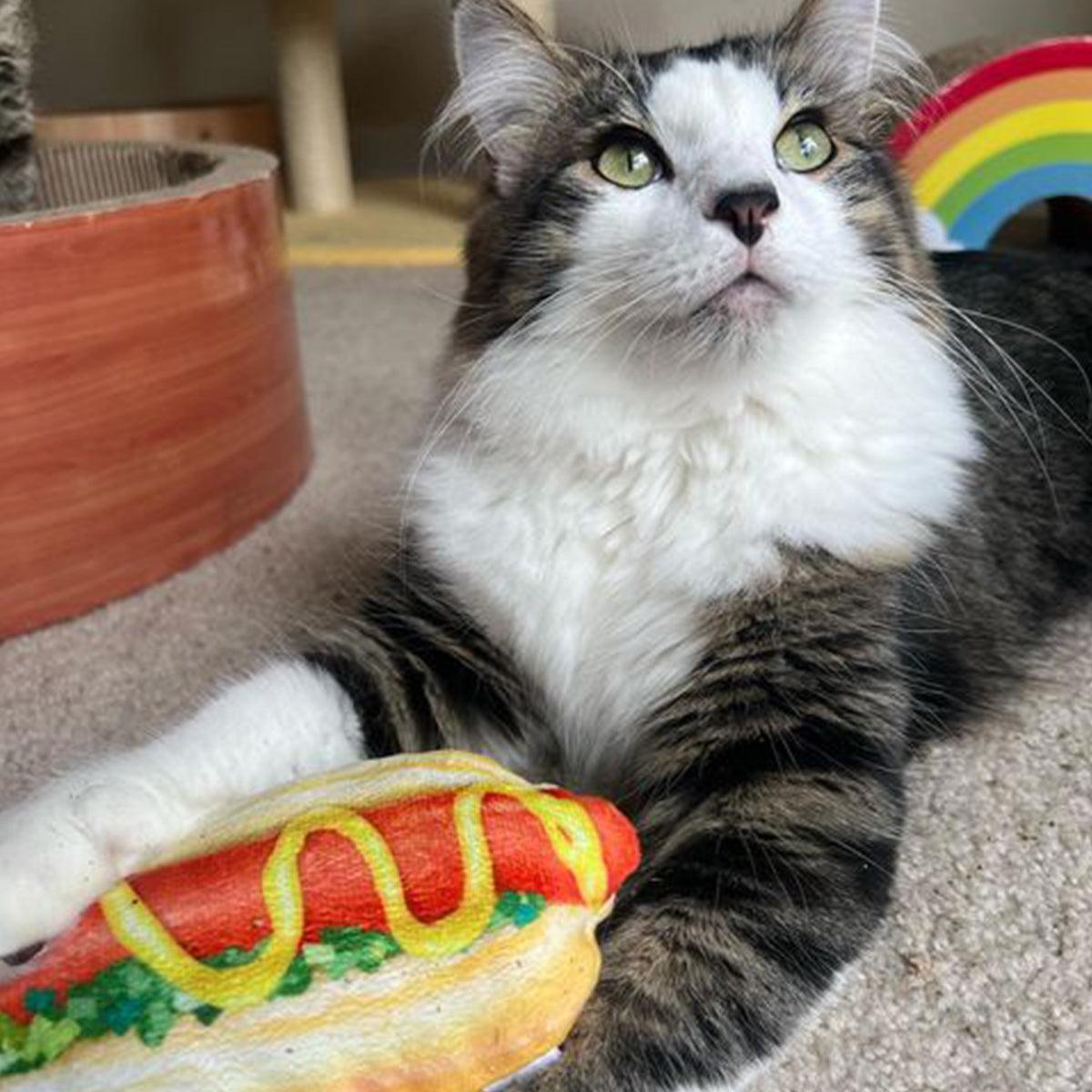 Get the Summer Pawty Started Refillable Hot Dog - Meowijuana - A Catnip Company