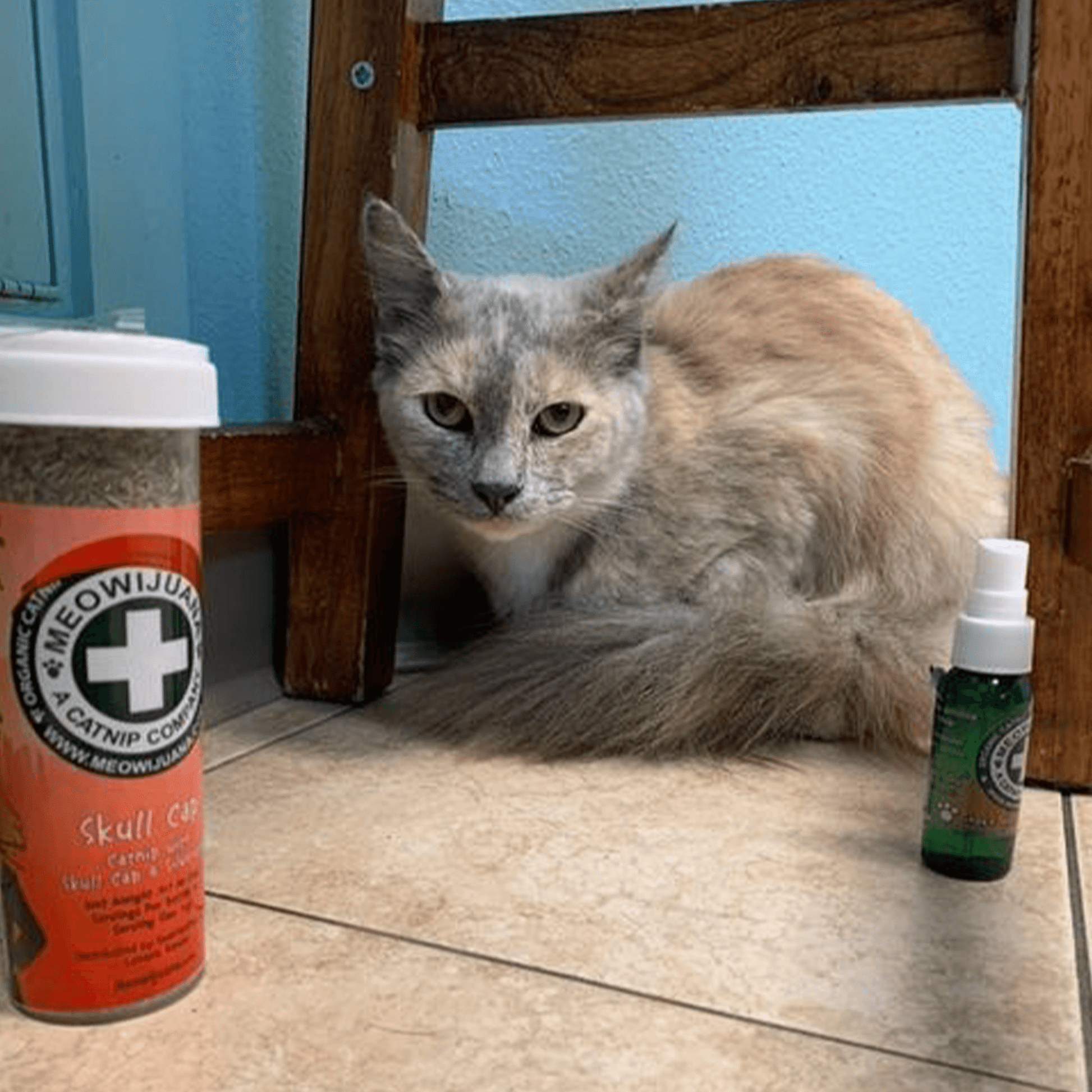 Catnip spray for Cats