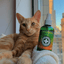 Catnip Spray, 3 oz Bottle - Meowijuana - A Catnip Company
