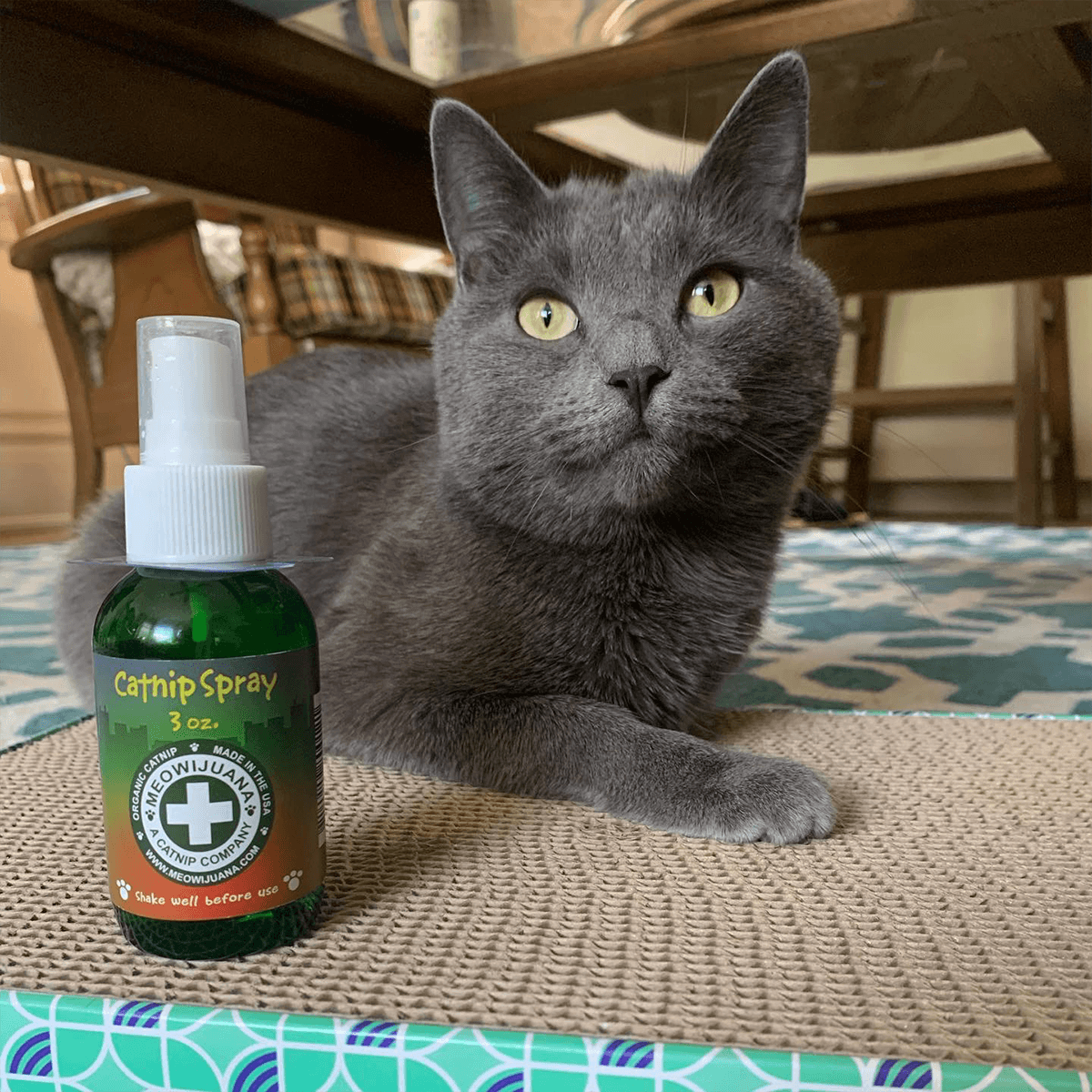 Catnip Spray, 3 oz Bottle - Meowijuana - A Catnip Company