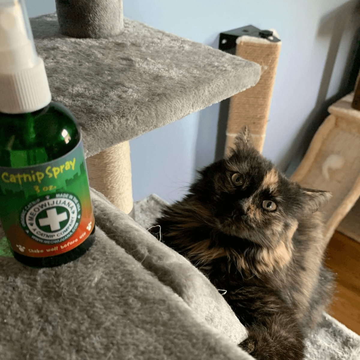 Catnip Spray, 3 oz Bottle - Meowijuana - A Catnip Company