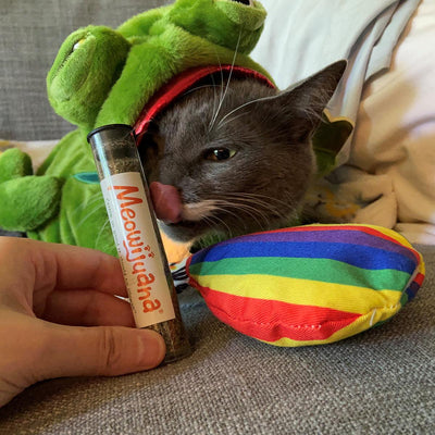 Get a Rise Refillable Balloon - Meowijuana - A Catnip Company