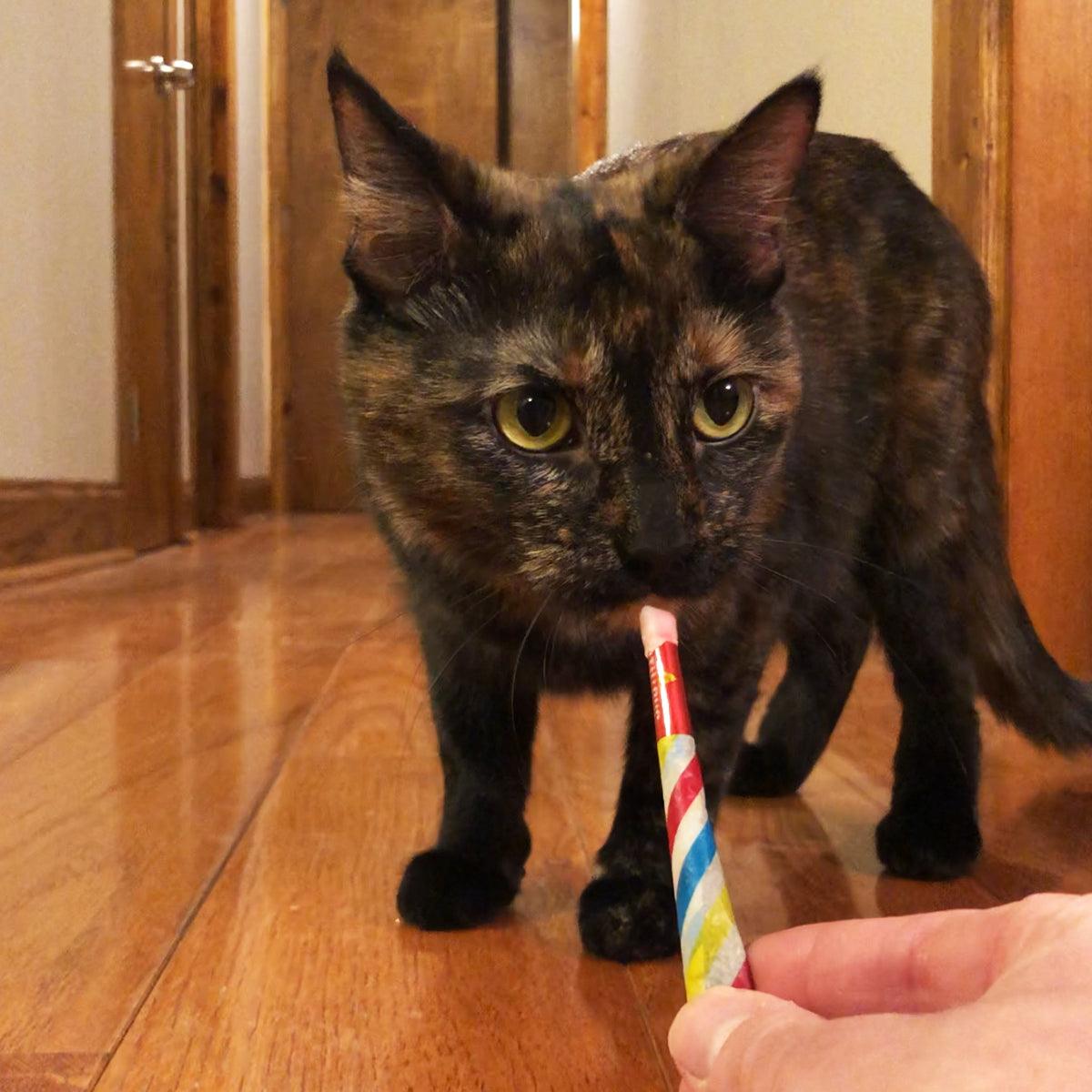 Birthday Pawty Bundle - Meowijuana - A Catnip Company