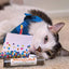 Get Lit Refillable Birthday Cake - Meowijuana - A Catnip Company