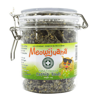 Jar of Organic Catnip Buds