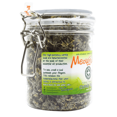 Jar of Organic Catnip Buds