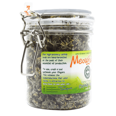 Jar of Organic Catnip Buds - Meowijuana - A Catnip Company