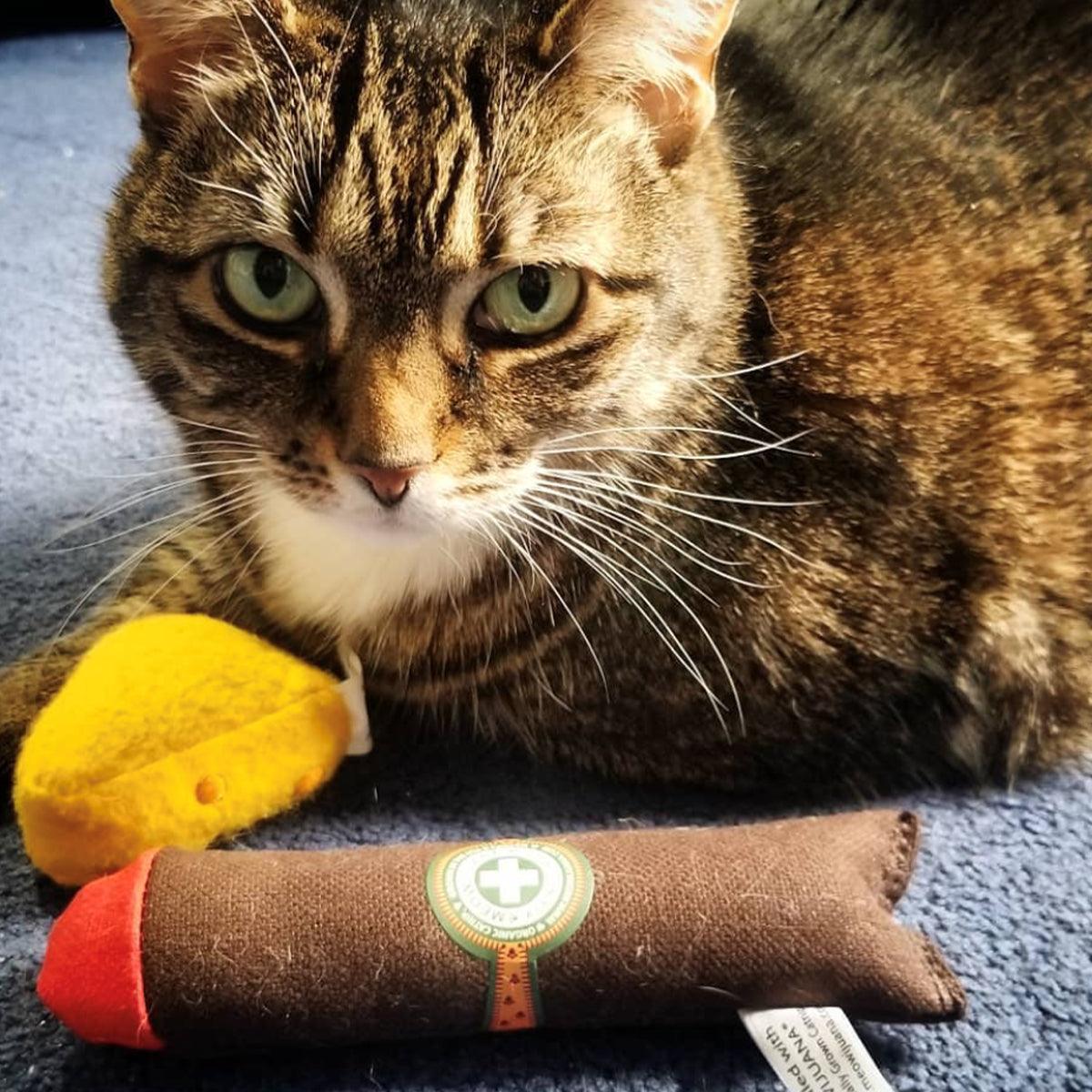 Catnip Cigar - Meowijuana - A Catnip Company