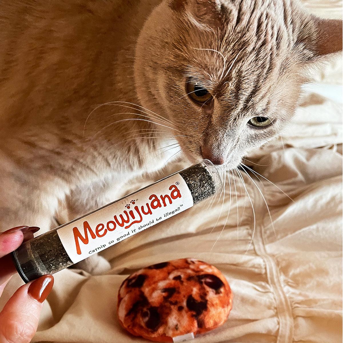 Get Baked Refillable Cookie - Meowijuana - A Catnip Company