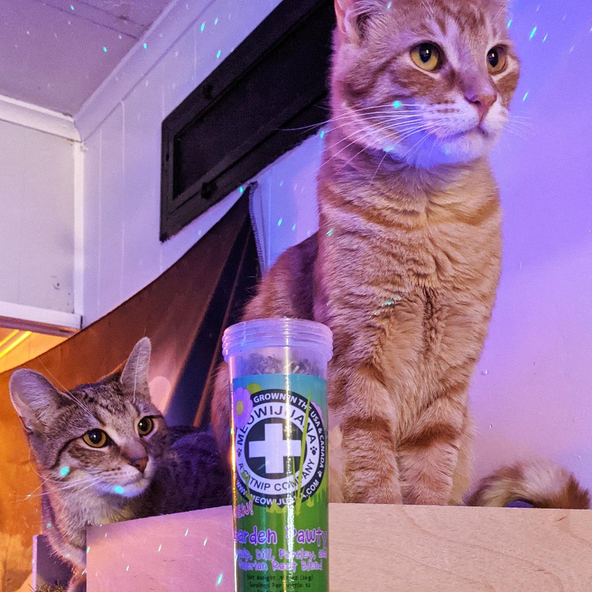Whisker city organic catnip sales