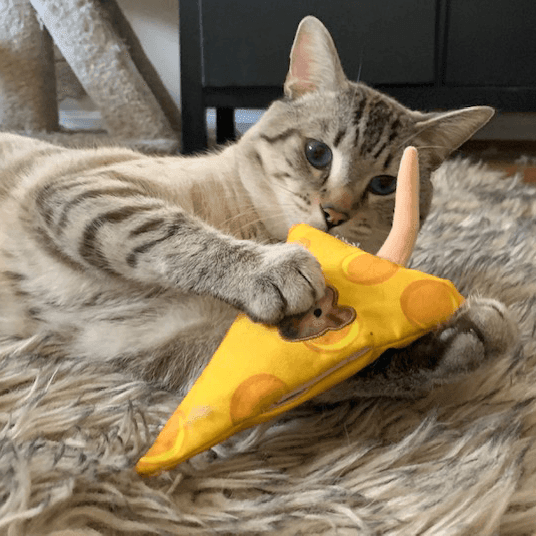 Get Cheezy Refillable Cheese & Mouse - Meowijuana - A Catnip Company