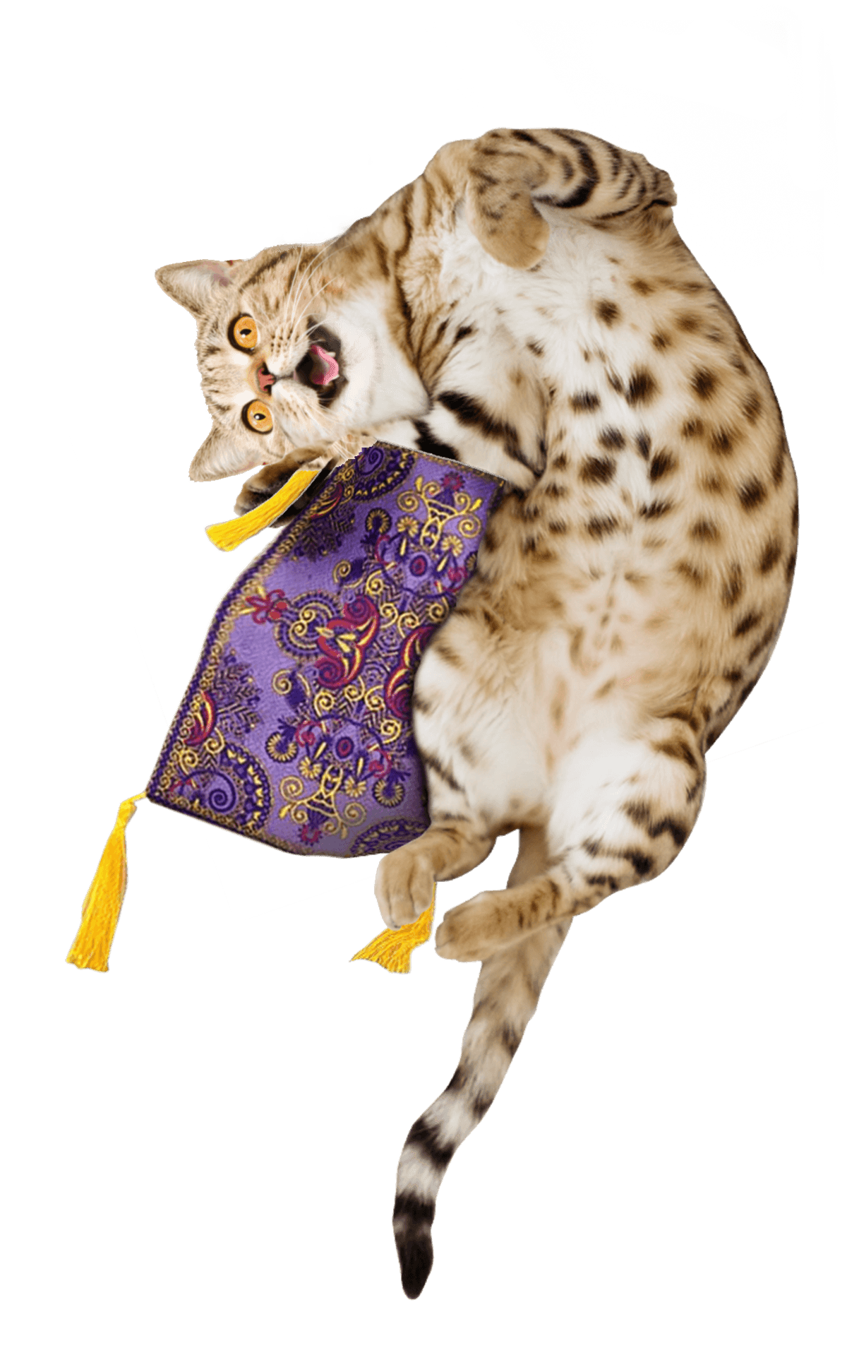 Magic best sale carpet toy