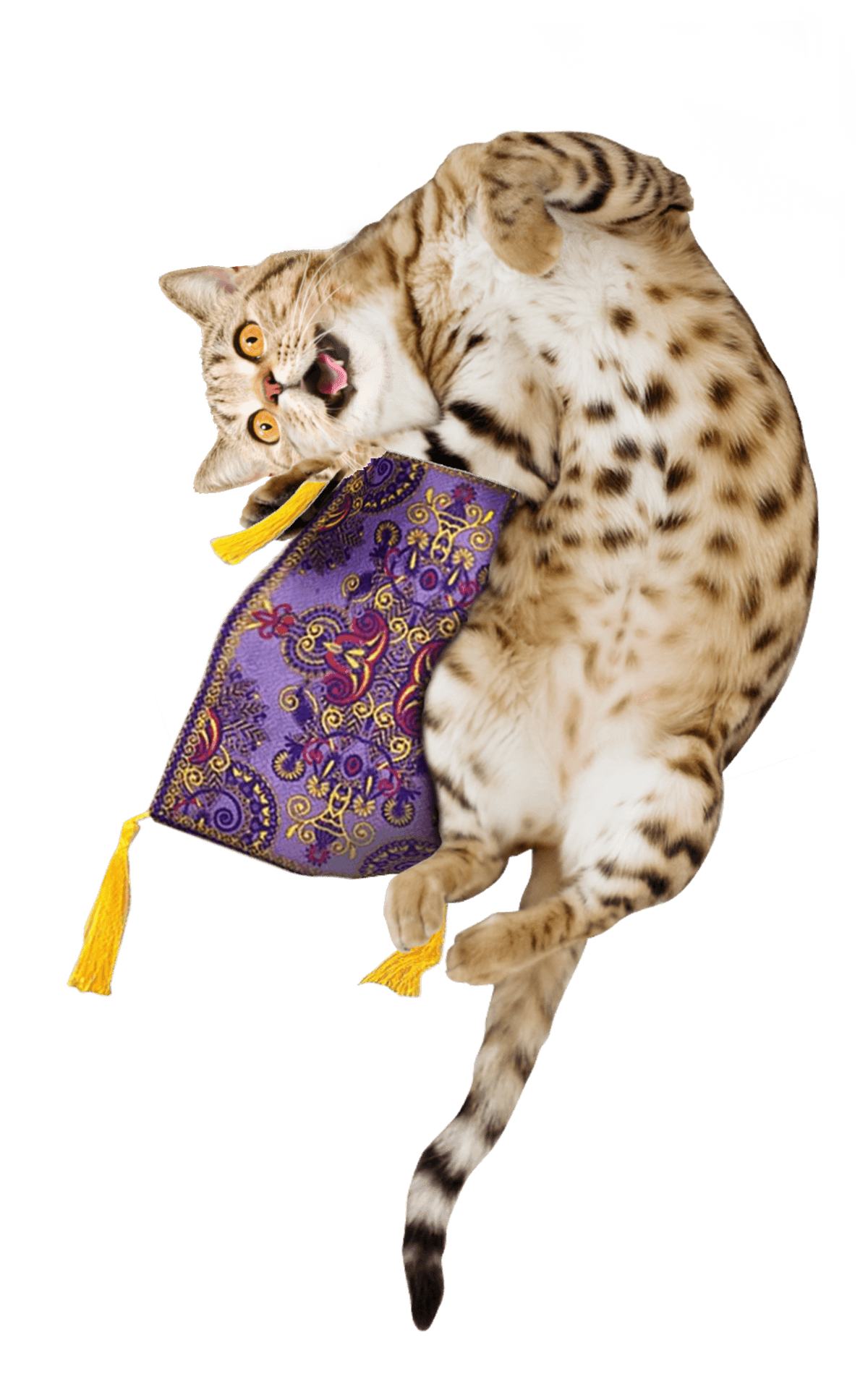 Get a Ride Refillable Magic Carpet - Meowijuana - A Catnip Company