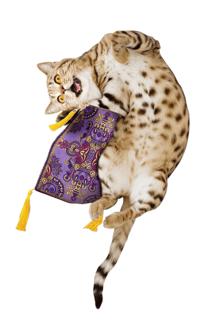 Get a Ride Refillable Magic Carpet