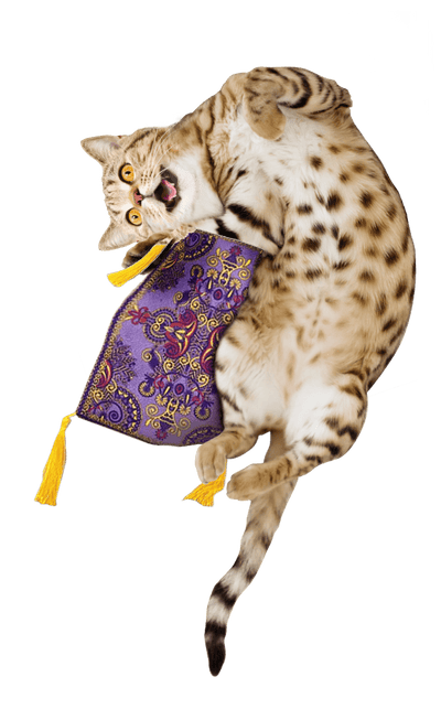 Get a Ride Refillable Magic Carpet - Meowijuana - A Catnip Company