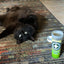 Honeysuckle Haze - Honeysuckle & Catnip Blend