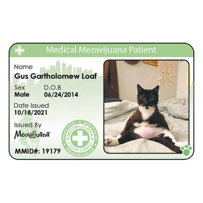 Medical Meowijuana ID - Meowijuana - A Catnip Company