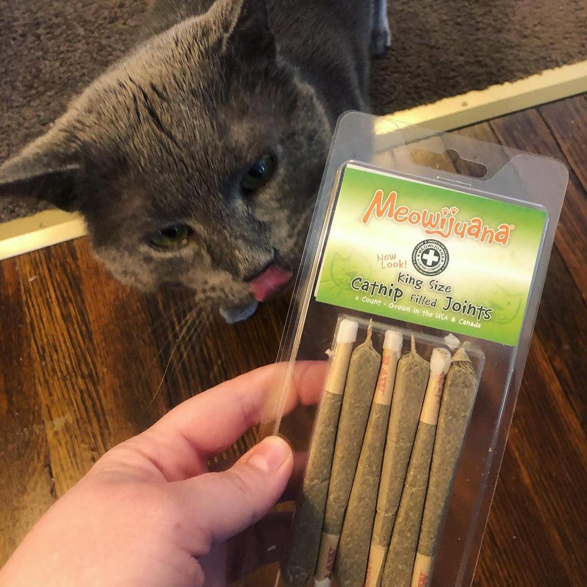 Catnibas® - King Size Meowy J's - Meowijuana - A Catnip Company