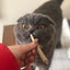 Catnibas® - King Size Meowy J's
