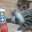 Kalico Kush - Valerian Root & Catnip Blend