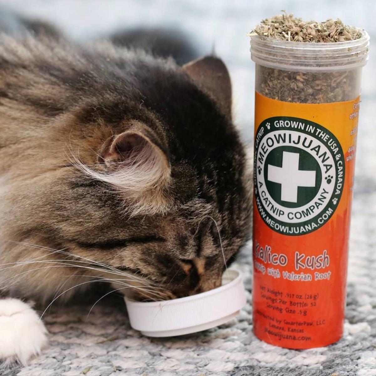 Kalico Kush - Valerian Root & Catnip Blend - Meowijuana - A Catnip Company