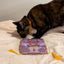 Get a Ride Refillable Magic Carpet - Meowijuana - A Catnip Company