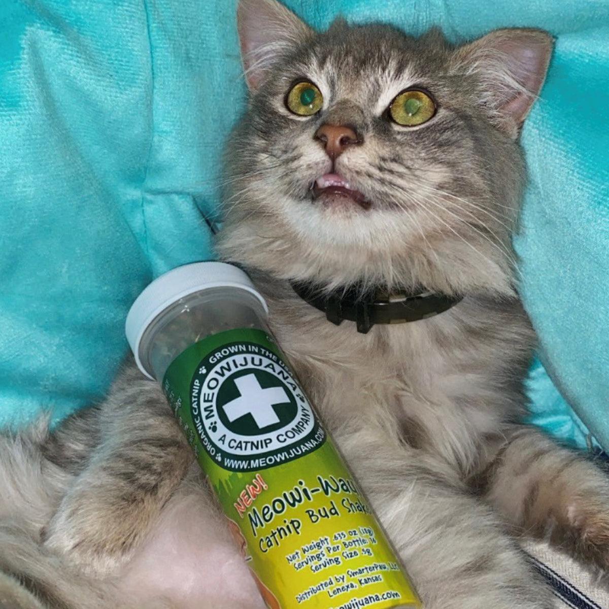 Meowi-Waui - Ground Catnip & Catnip Buds - Meowijuana - A Catnip Company