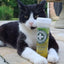Meowi-Waui - Ground Catnip & Catnip Buds