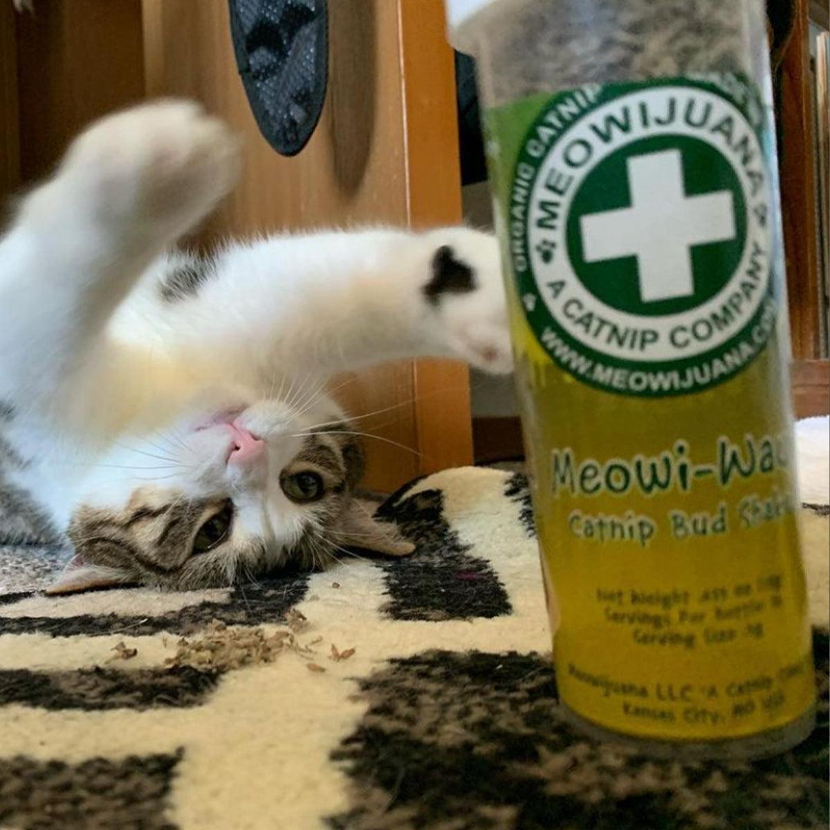 Meowi-Waui - Ground Catnip & Catnip Buds - Meowijuana - A Catnip Company