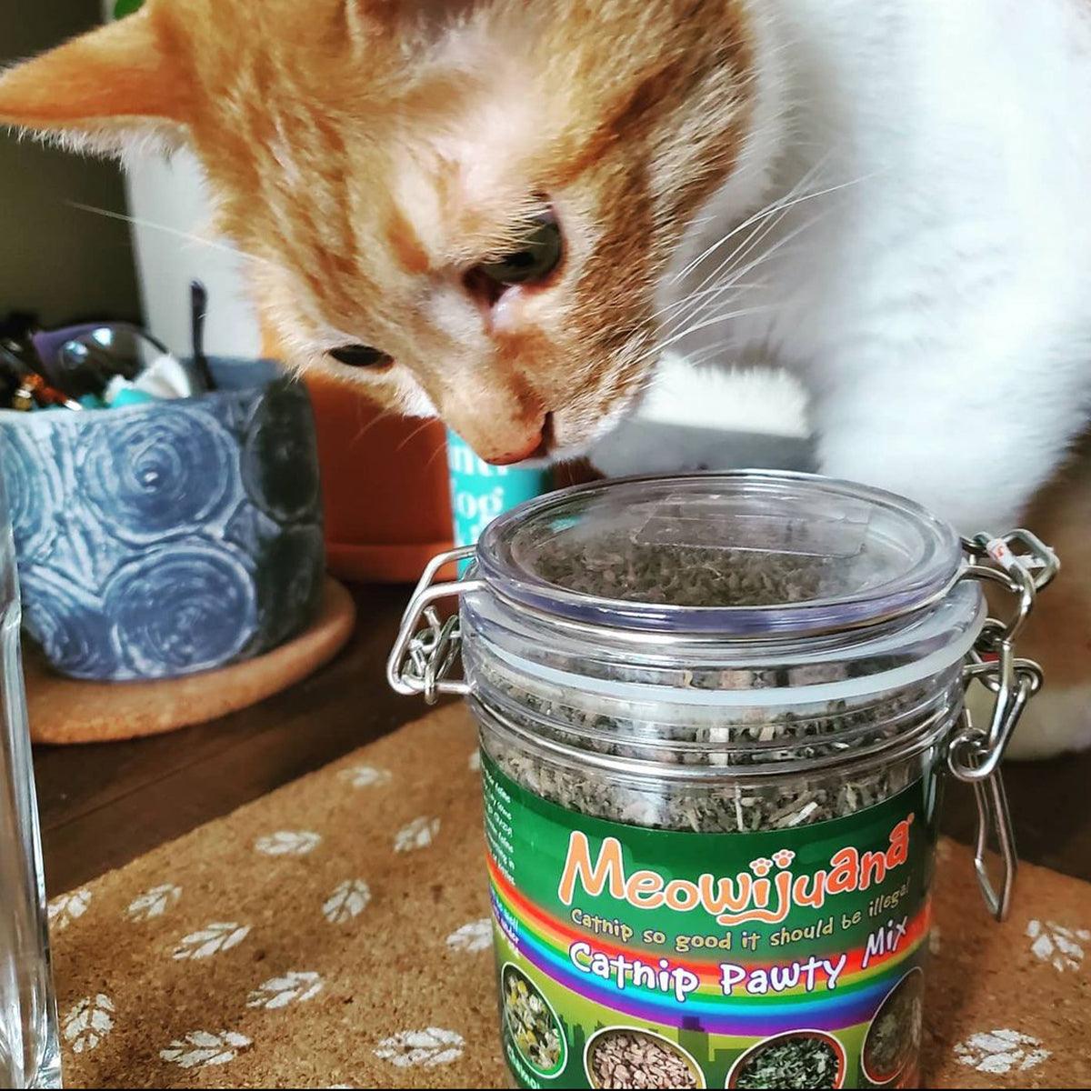 Jar of Catnip Pawty Mix - Meowijuana - A Catnip Company