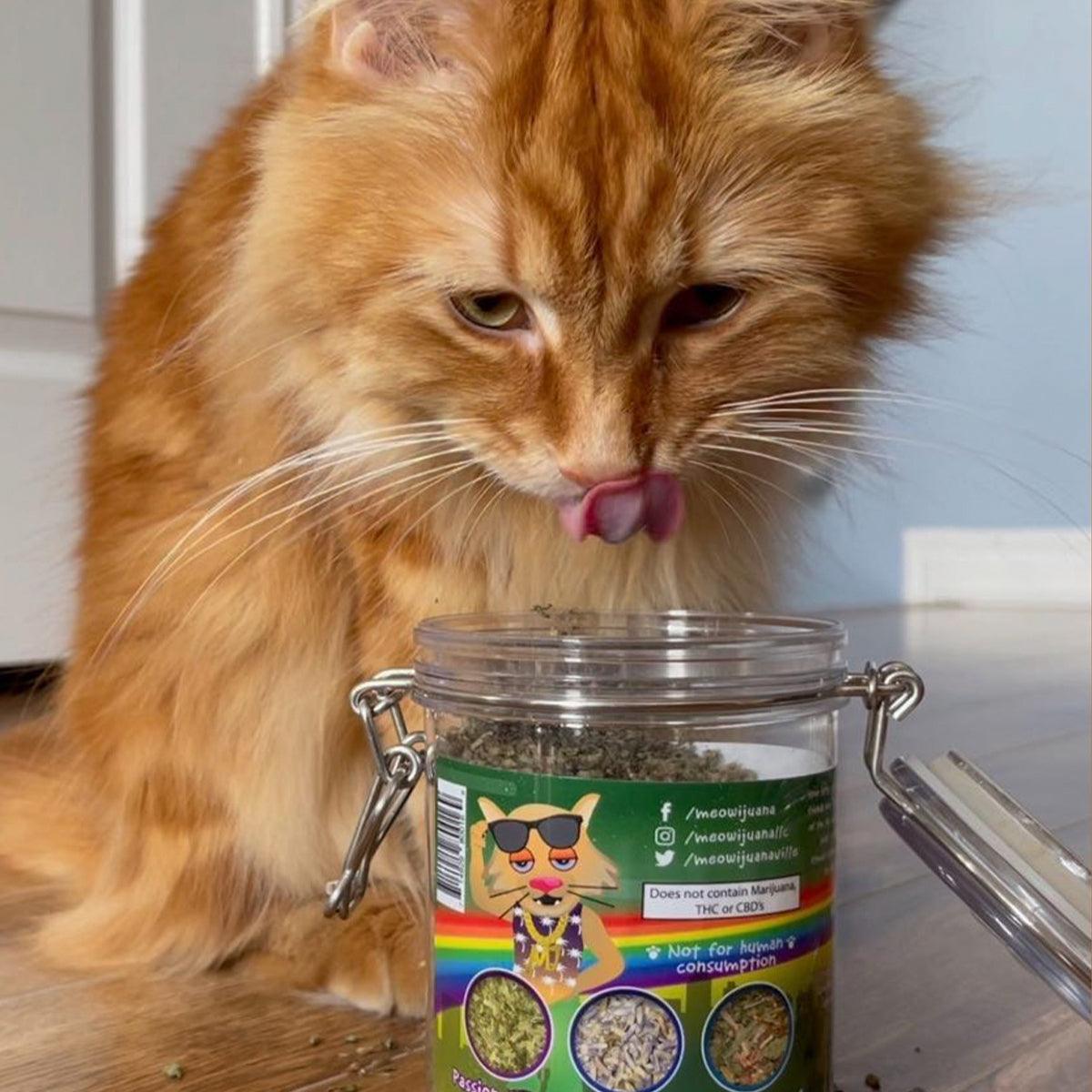 Jar of Catnip Pawty Mix - Meowijuana - A Catnip Company