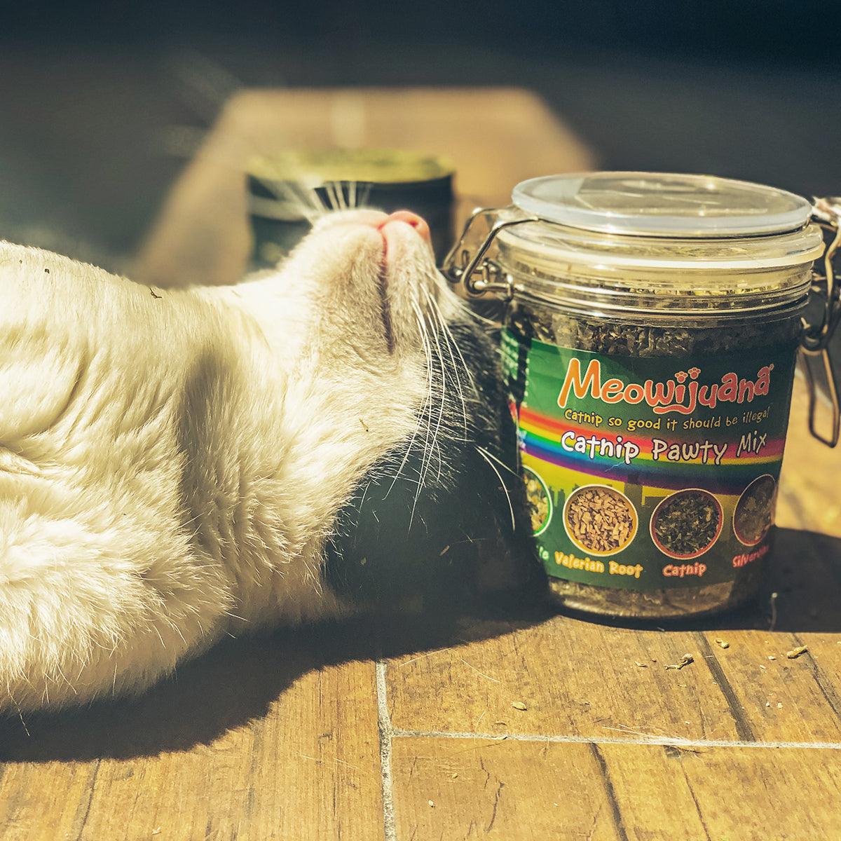 Jar of Catnip Pawty Mix - Meowijuana - A Catnip Company