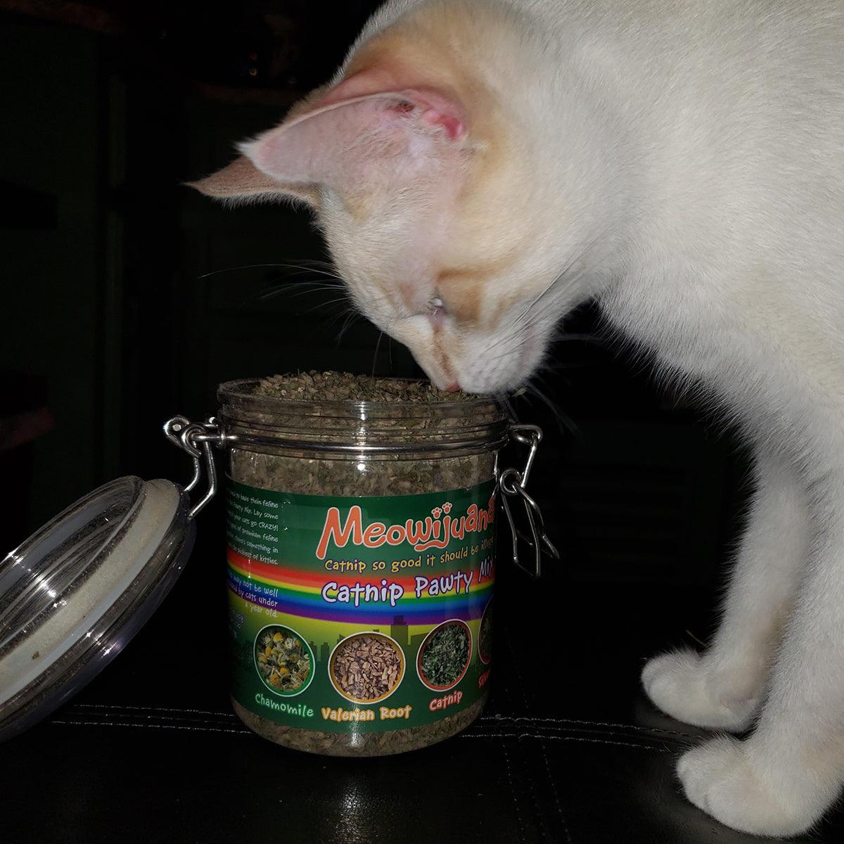 Jar of Catnip Pawty Mix - Meowijuana - A Catnip Company