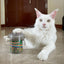 Jar of Catnip Pawty Mix - Meowijuana - A Catnip Company