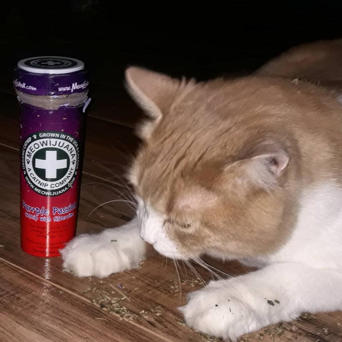 Purrple Passion - Silvervine & Catnip Blend - Meowijuana - A Catnip Company