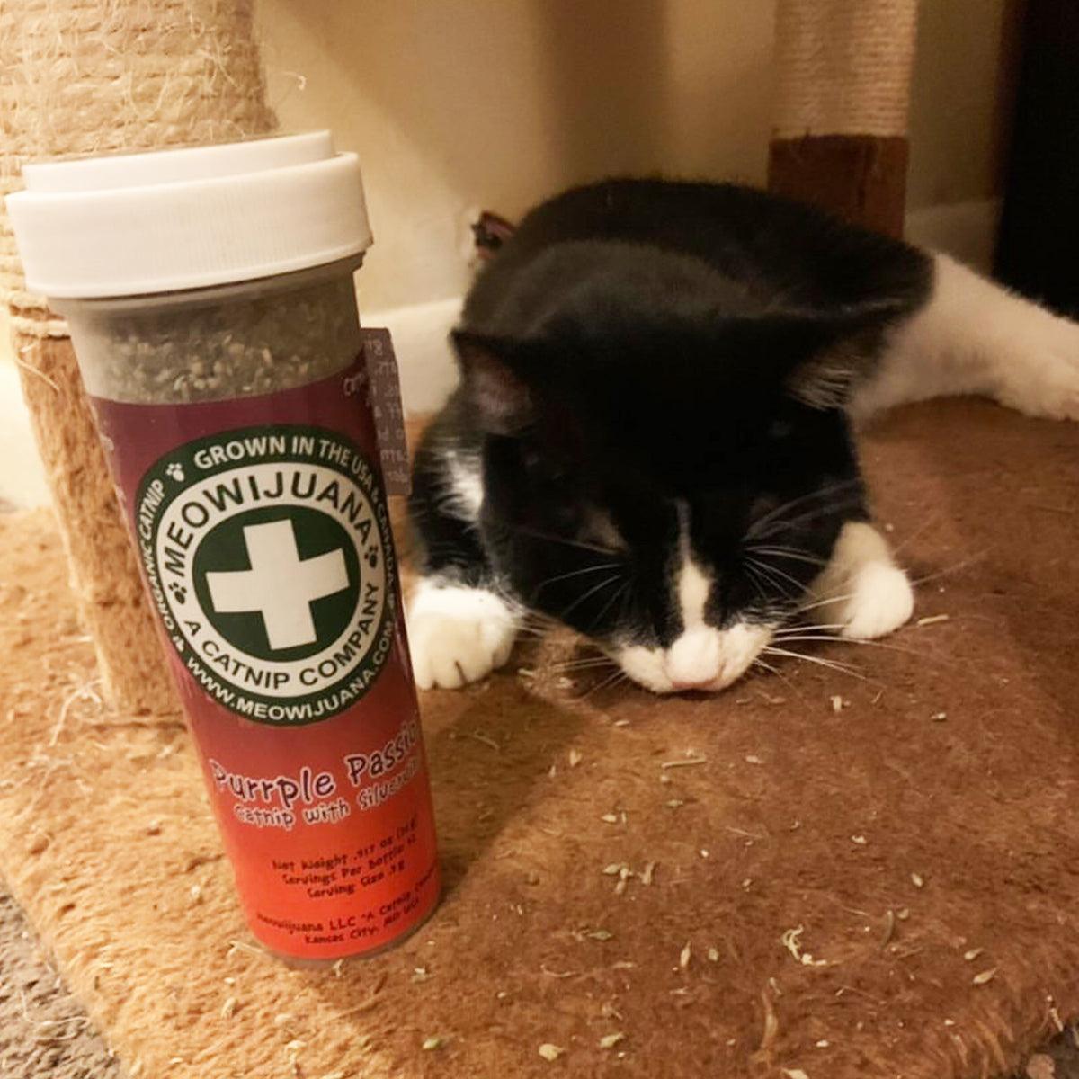 Purrple Passion - Silvervine & Catnip Blend
