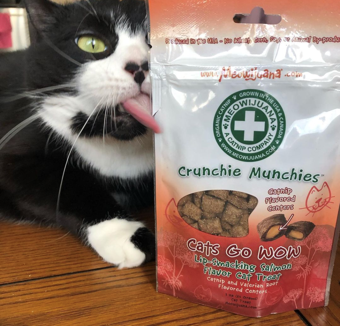 Crunchie Munchie - Salmon Treats for Cats