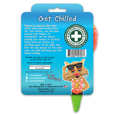 Get Chilled Refillable Snow Cone