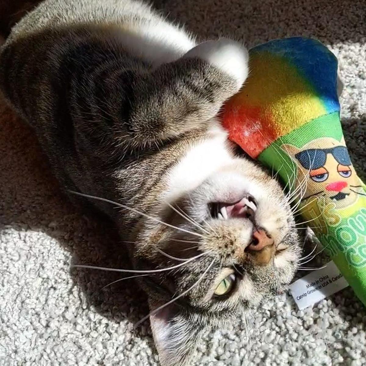Get Chilled Refillable Snow Cone - Meowijuana - A Catnip Company