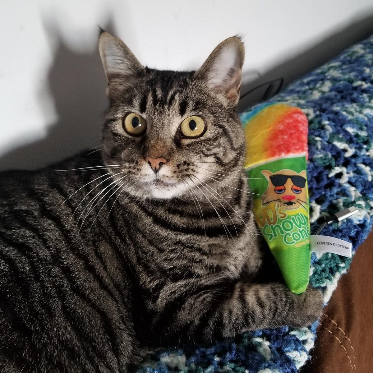 Get Chilled Refillable Snow Cone - Meowijuana - A Catnip Company