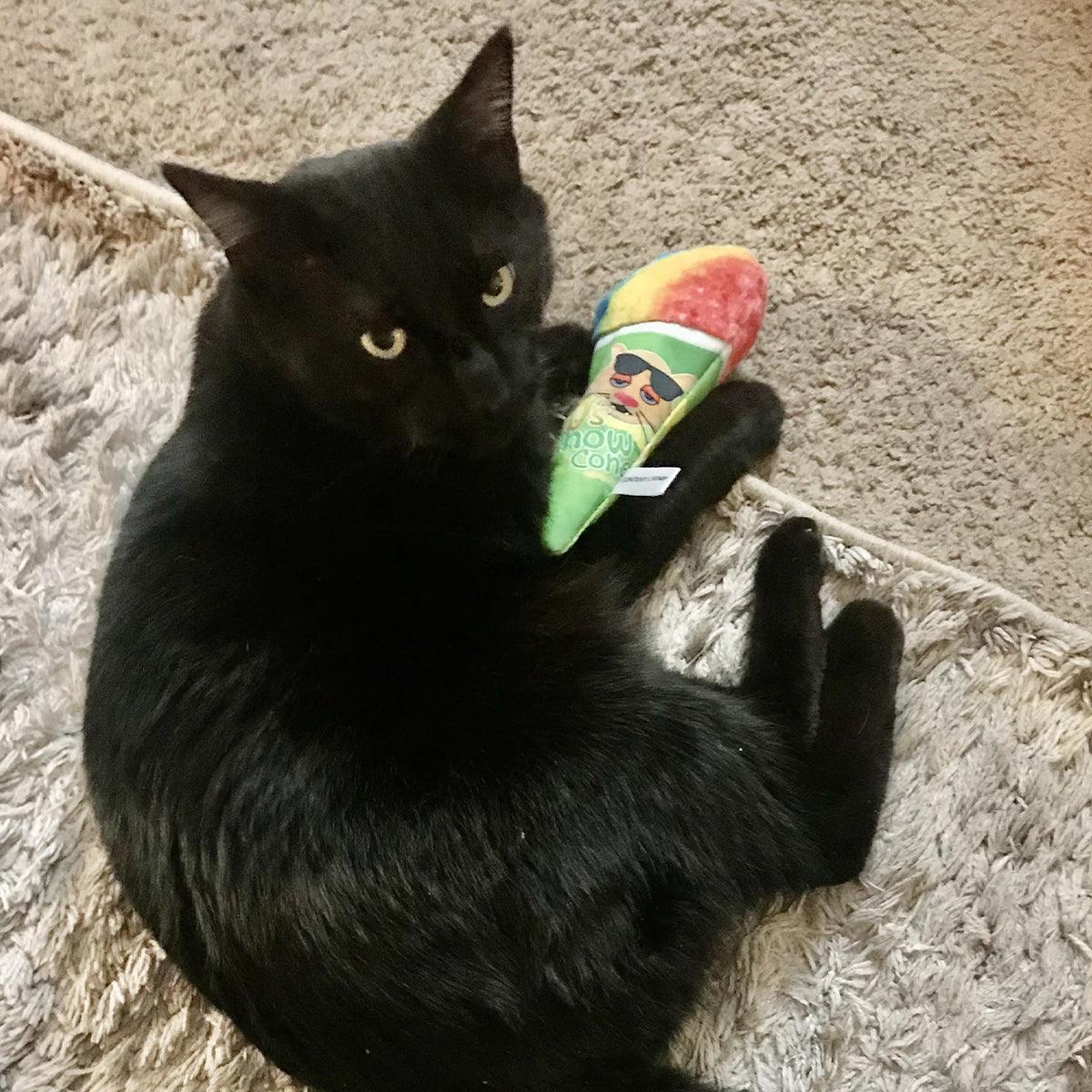 Get Chilled Refillable Snow Cone - Meowijuana - A Catnip Company